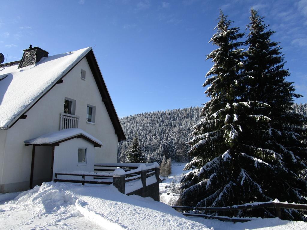 Greizer Kammhuette Gaststaette & Pension Klingenthal Extérieur photo
