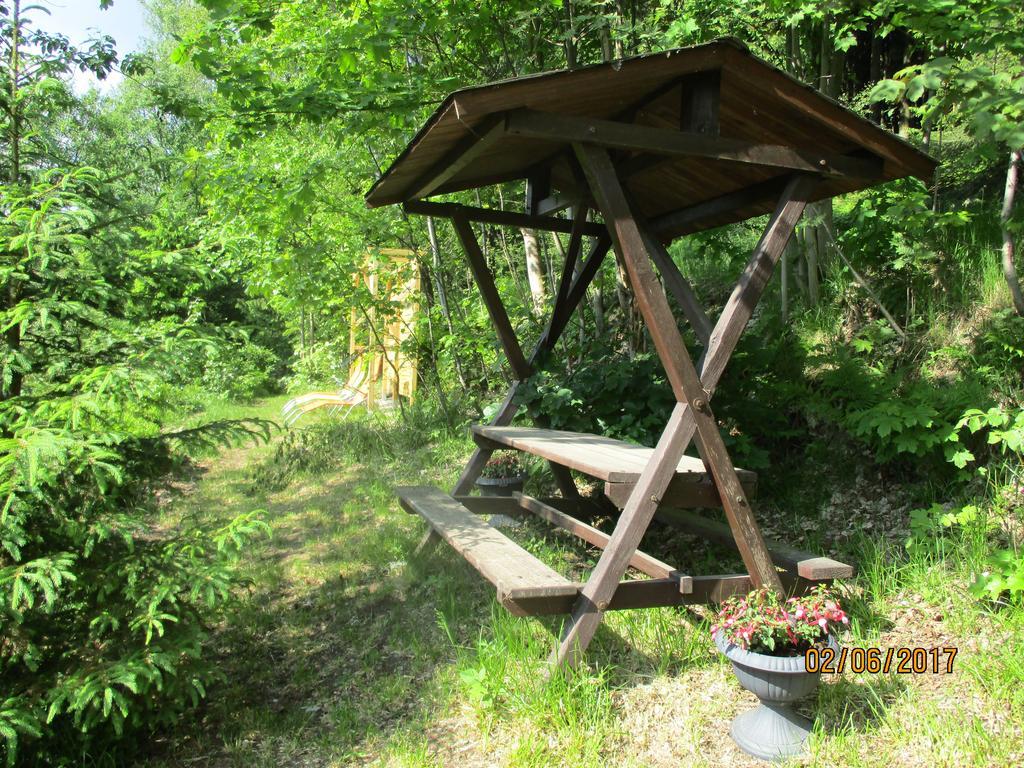 Greizer Kammhuette Gaststaette & Pension Klingenthal Extérieur photo