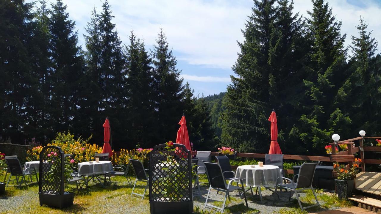 Greizer Kammhuette Gaststaette & Pension Klingenthal Extérieur photo